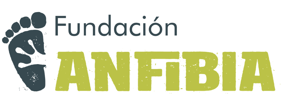 Fundación Anfibia